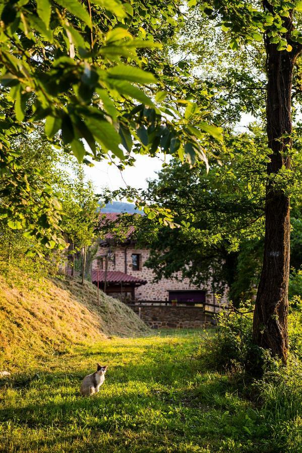 Gorosarri Apartment Escoriaza Екстериор снимка